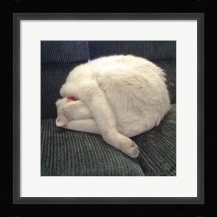 Framed Cat Yoga I Print
