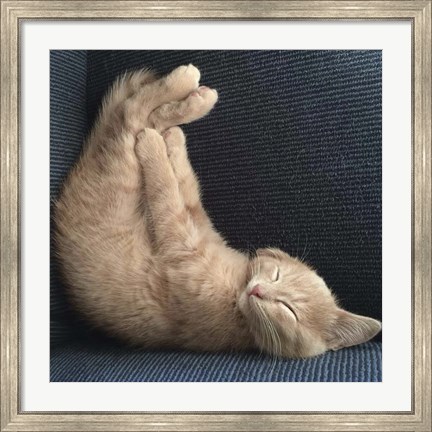 Framed Cat Yoga VII Print