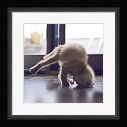 Framed Cat Yoga X Print