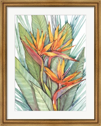 Framed Tropical Botanical Paradise II Print