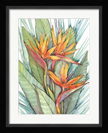Framed Tropical Botanical Paradise II Print