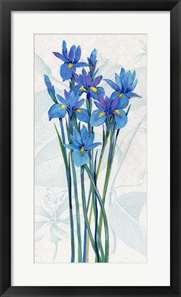 Framed Blue Iris Panel I Print
