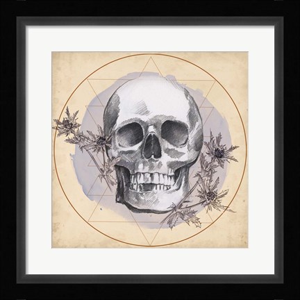 Framed Skull Thistle I Print