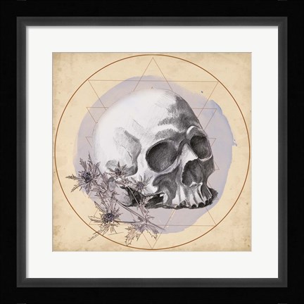 Framed Skull Thistle II Print
