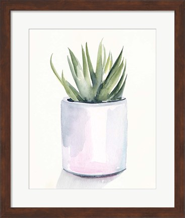 Framed Potted Succulent III Print