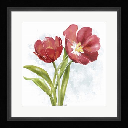 Framed Red Tulip Splash I Print
