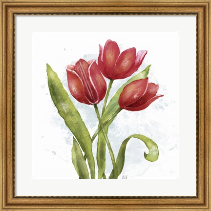 Framed Red Tulip Splash II Print
