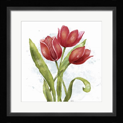Framed Red Tulip Splash II Print