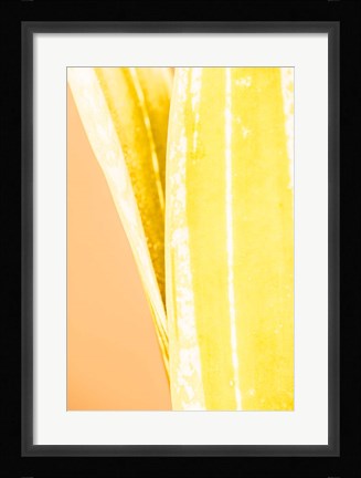 Framed Hot House I Print