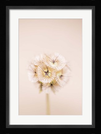 Framed Bleach Blonde II Print