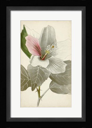 Framed Silvery Botanicals VI Print