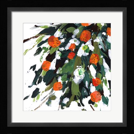 Framed Ripe Tangerines II Print