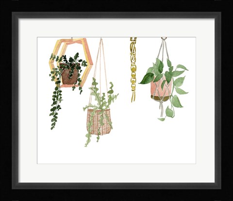 Framed Hanging Greens III Print