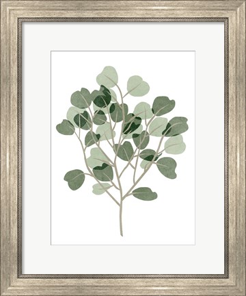 Framed Windy Eucalyptus II Print