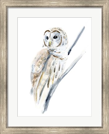 Framed Arctic Owl I Print