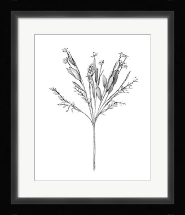 Framed Field Flower I Print