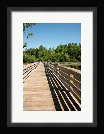 Framed Alabama, Theodore Bayou Boardwalk of the Bellingrath gardens Print