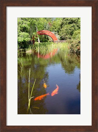 Framed Alabama, Theodore Bridge and Koi Pond at Bellingrath Gardens Print