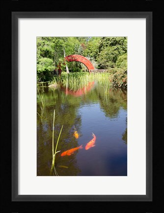 Framed Alabama, Theodore Bridge and Koi Pond at Bellingrath Gardens Print