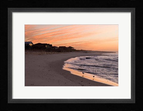 Framed Alabama, Gulf Shores, Beach, shore birds Print