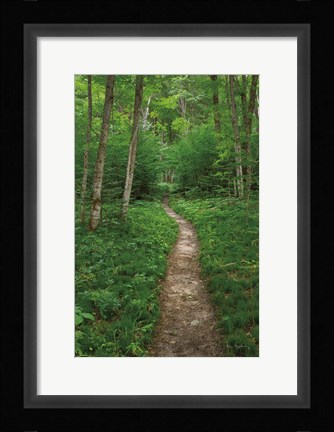 Framed North Country Trail Print