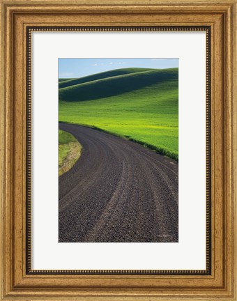 Framed Going Through Palouse Wheat Fields Print