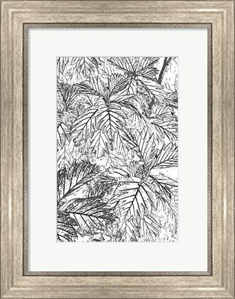 Framed Botanical BW I Print
