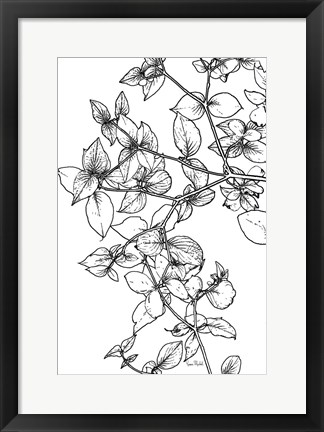 Framed Leafy BW Print