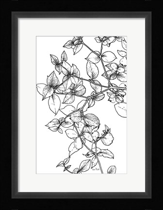 Framed Leafy BW Print