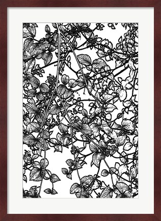 Framed Leafy BW III Print