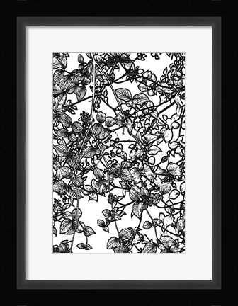 Framed Leafy BW III Print