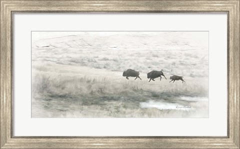 Framed Buffalo Stampede Print