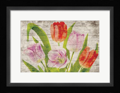 Framed Tulips II Print
