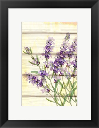 Framed Floral Lavender I Print
