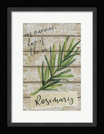 Framed Rosemary Print