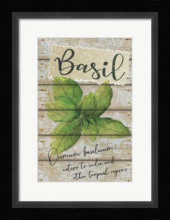 Framed Basil Print