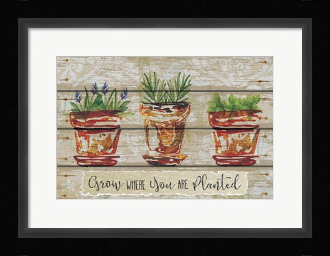 Framed Grow Where Print