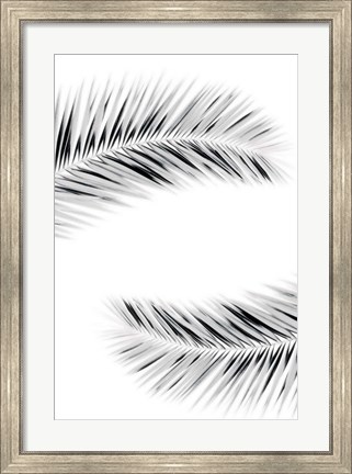 Framed Palm V Print