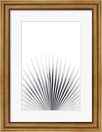 Framed Palm VI Print