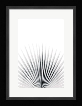 Framed Palm VI Print