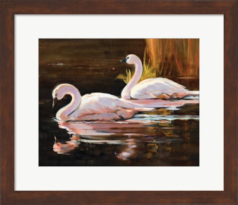 Framed Swans Print