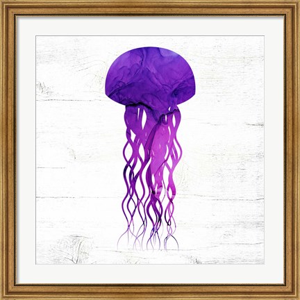 Framed Jelly Fish Print