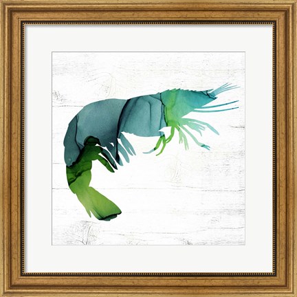 Framed Shrimp Print