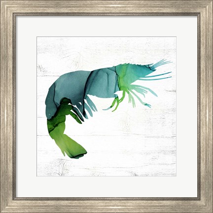 Framed Shrimp Print