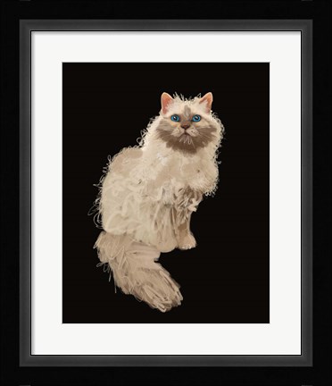 Framed Cat Print
