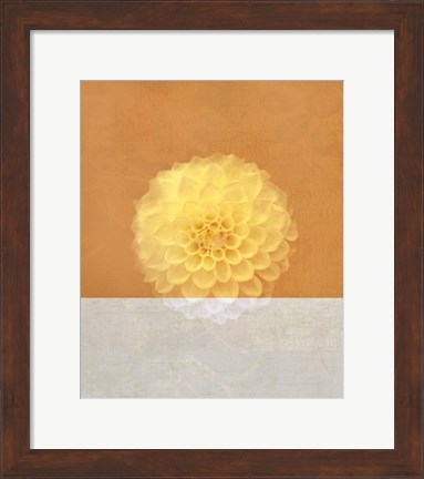 Framed Orange Flower Print