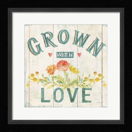 Framed Full Bloom XIII Floral Print