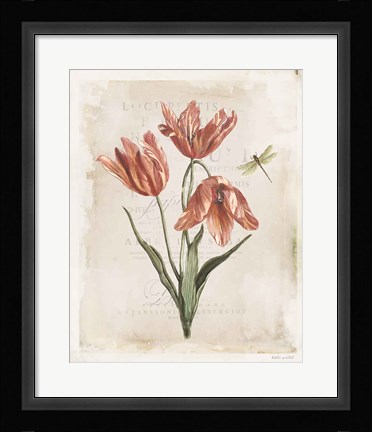 Framed Antiquarian Blooms III Print