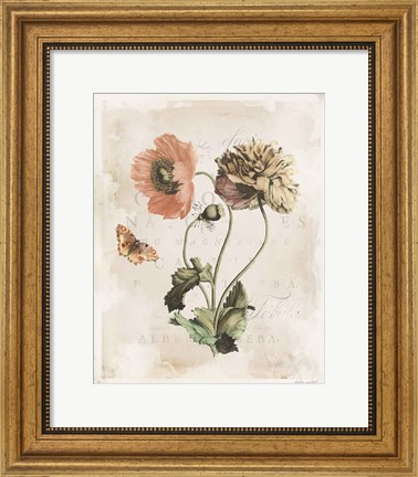 Framed Antiquarian Blooms IV Print