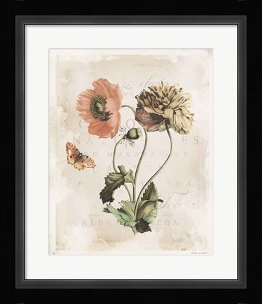 Framed Antiquarian Blooms IV Print